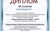 Курилкина_А_А_Образовательная_цифра